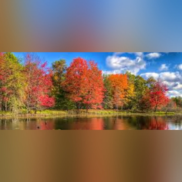 Welcome to my closet!! 🤗✨ - Picture 3 of 4